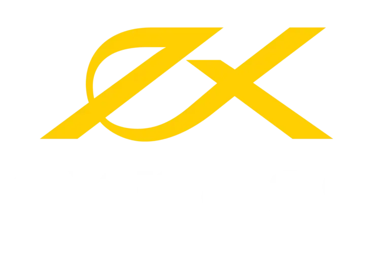 exness logo